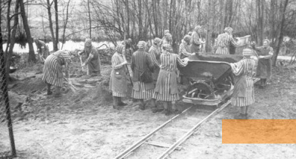 Zeuginnen Jehovas die im Konzentrationslagers Ravensbrück Zwangsarbeit leisteten. Das Foto stammt aus einem SS-Propagandaalbum zum KZ Ravensbrück und wurde 1941 aufgenommen.