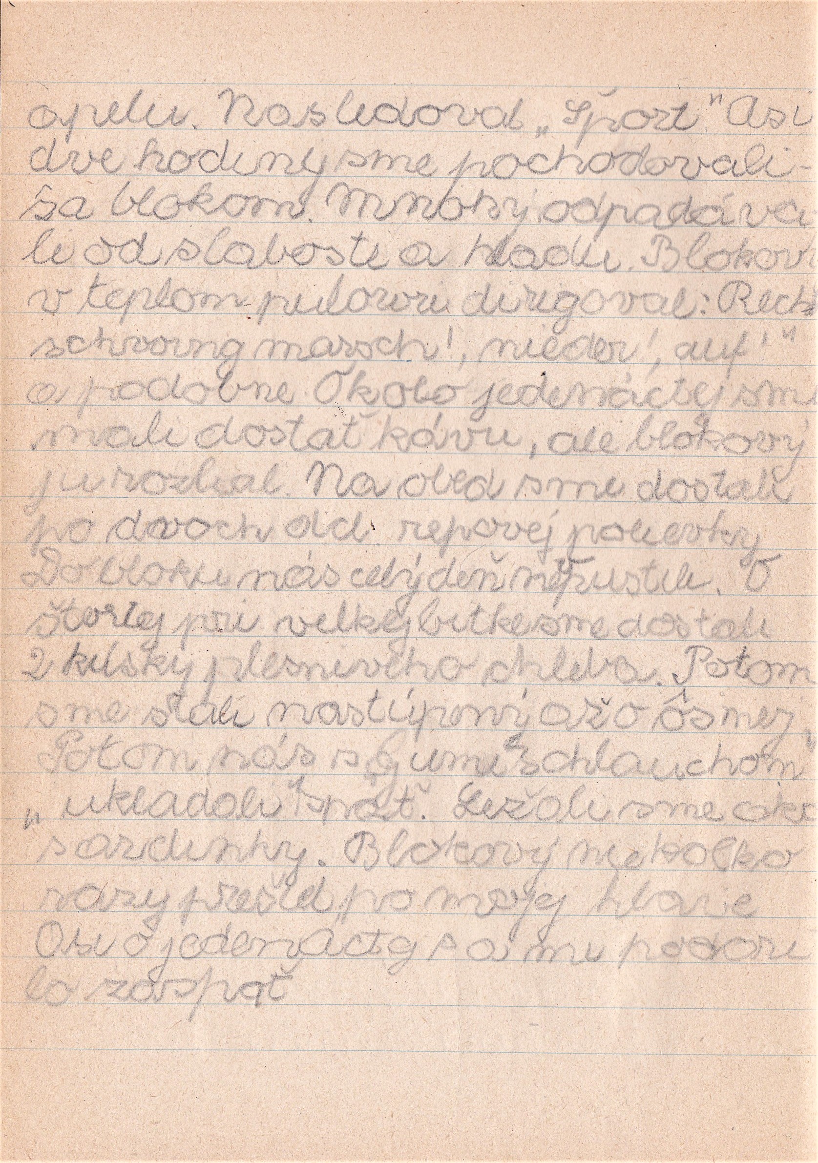 Seite aus Pavels handgeschriebenem Tagebuch, das er unmittelbar nach der Befreiung am 4. Mai begann und bis zum 28. Juli 1945 führte, Kapitelbild 4