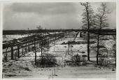 Auschwitz-Birkenau, Aufnahme nach dem 27. Januar 1945
