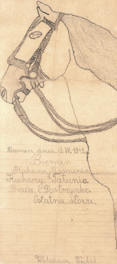 Zeichnung eines Pferdekopfes, die Walerjan dem Abschiedsbrief an seine Eltern 1942 beifügte