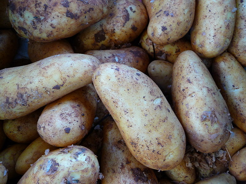 Elisabeth wurde der Diebstahl von Kartoffeln vorgeworfen. Elisabeth wurde der Diebstahl von Kartoffeln vorgeworfen.