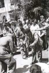 11. Juli 1942: Demütigung jüdischer Männer auf dem Freiheitsplatz. In glühender Hitze wurden sie zu Sportübungen gezwungen und geschlagen.
