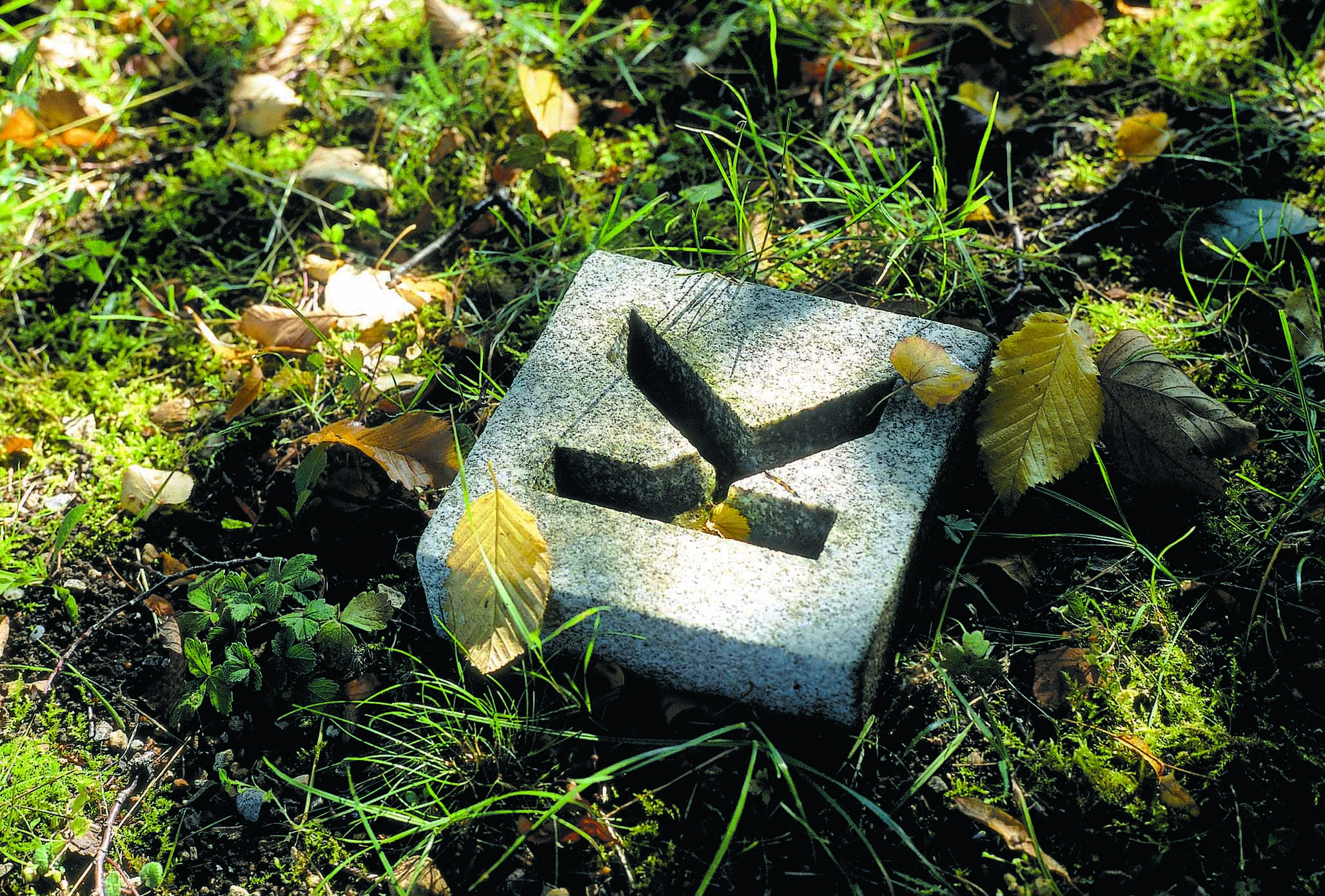 Aufnahme des Alphabet-Gartens der Gedenkstätte Grafeneck Aufnahme des Alphabet-Gartens der Gedenkstätte Grafeneck