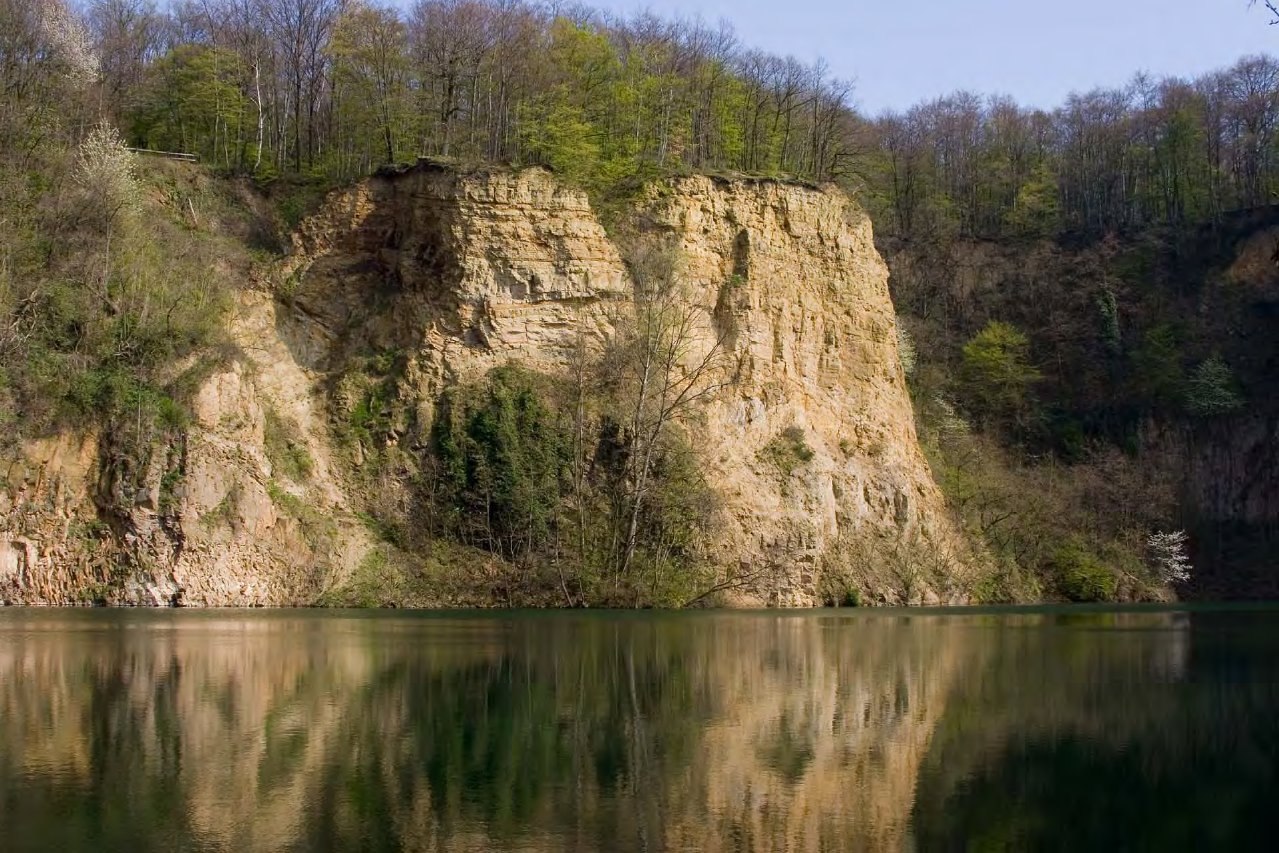 Foto des Dornheckensees bei Bonn