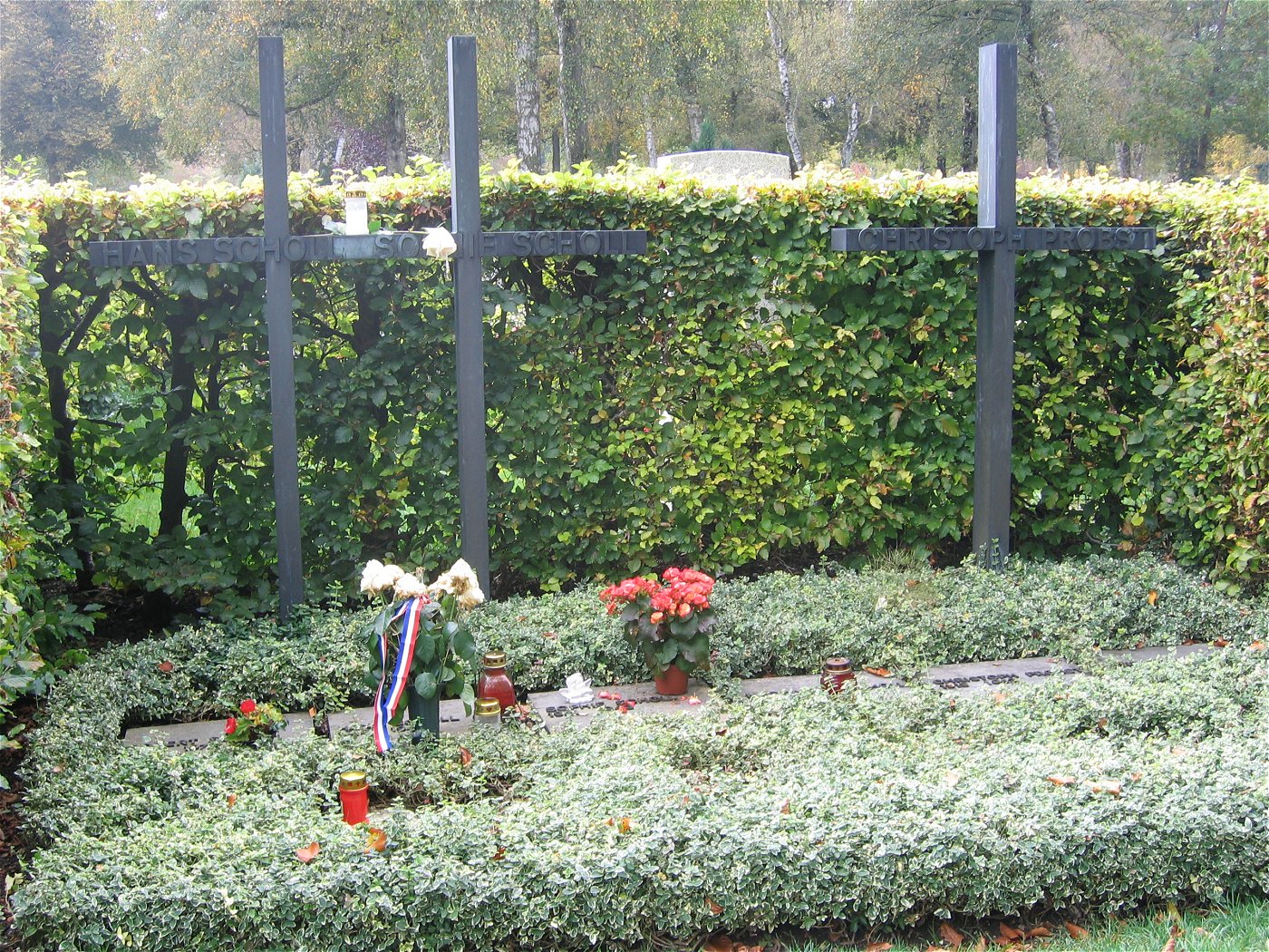 Foto der Gräber von Hans und Sophie Scholl und Christoph Probst