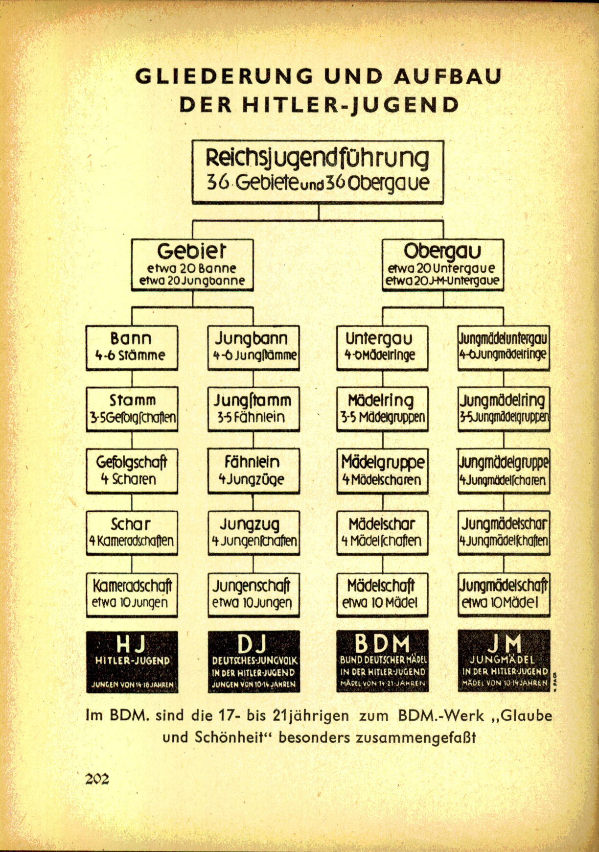 Organisationsstruktur Hitlerjugend Organisationsstruktur Hitlerjugend