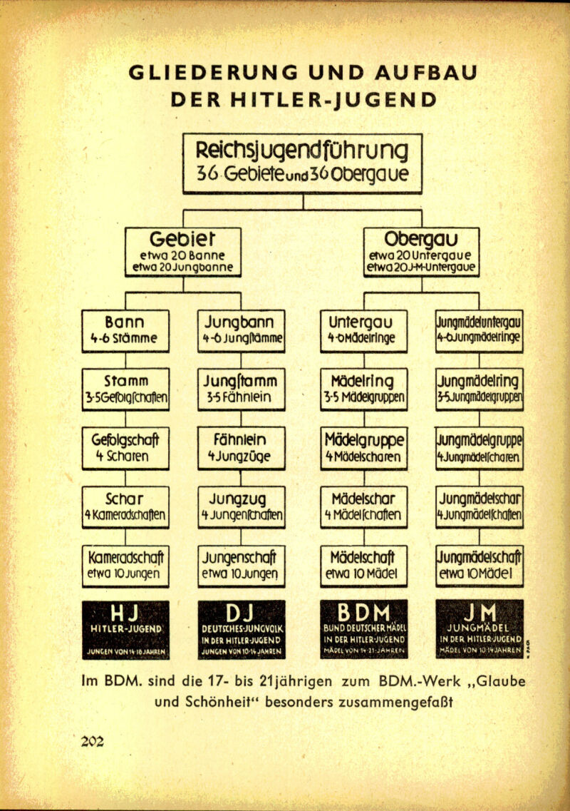 Organisationsstruktur Hitlerjugend