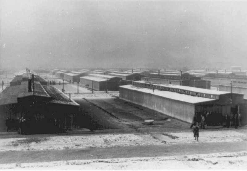 Das »Zigeunerfamilienlager« in Auschwitz-Birkenau, 1943/44