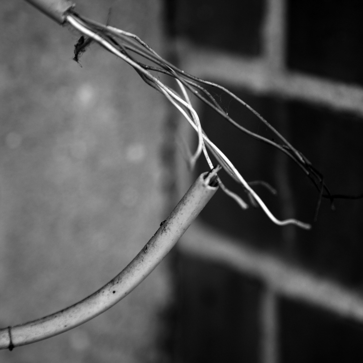 Foto zweier sich berührender Kabel, Symbolbild Kapitel 5, von Christin Franke Foto zweier sich berührender Kabel, Symbolbild Kapitel 5, von Christin Franke