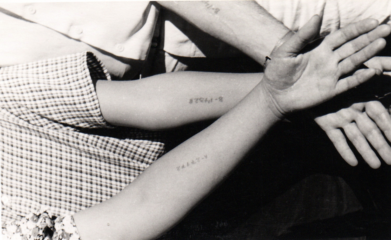 Pressburg, 1946: »Die Unterarme meiner Mutter, meines Vaters und mir mit Auschwitz-Zahlen«, Symbolbild 3