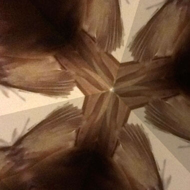 Kaleidoskopbild einer Feder, Symbolbild 1 von Christin Franke