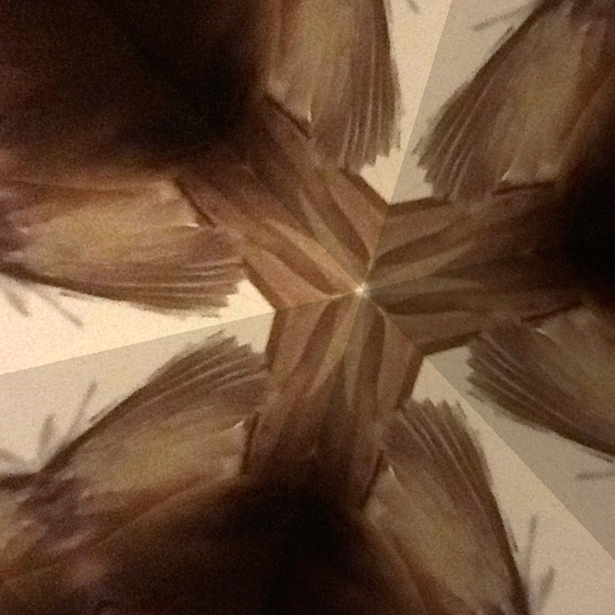 Kaleidoskopbild einer Feder, Symbolbild 1 von Christin Franke Kaleidoskopbild einer Feder, Symbolbild 1 von Christin Franke