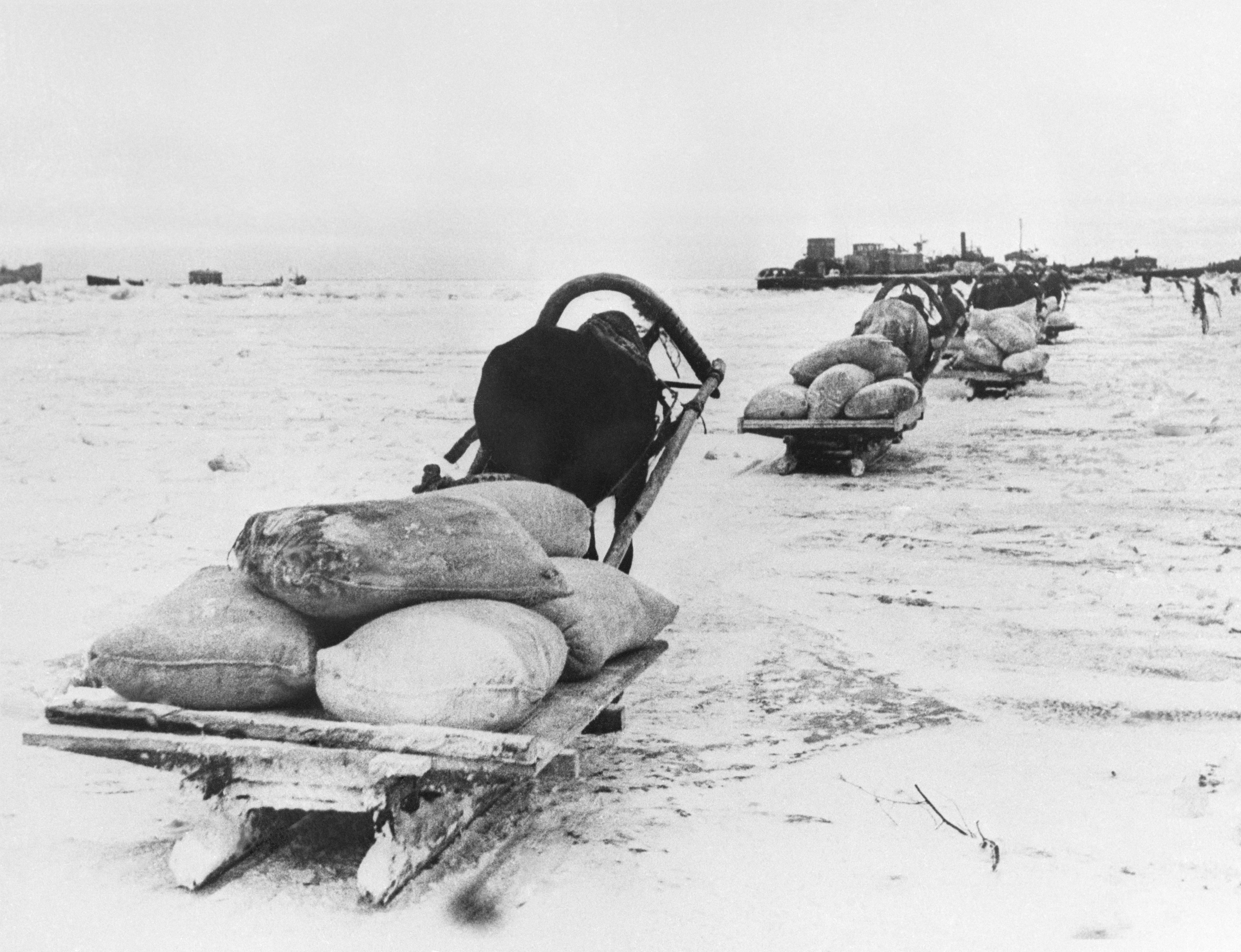 Am 20. November 1941, als das Eis auf dem Ladogasee knapp zwei Zentimeter dick war, wurde die Straße mit einem Pferdeschlittenzug (bestehend aus 350 Schlitten) befahren. Am 20. November 1941, als das Eis auf dem Ladogasee knapp zwei Zentimeter dick war, wurde die Straße mit einem Pferdeschlittenzug (bestehend aus 350 Schlitten) befahren.