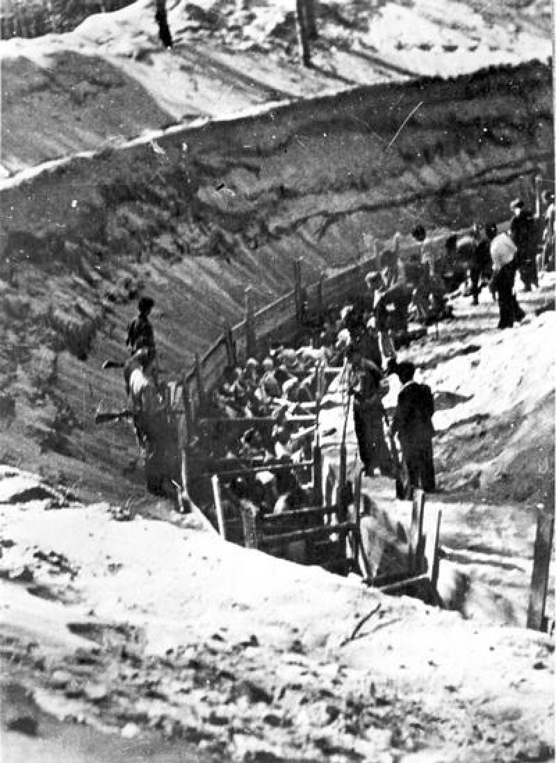 Litauische Helfer und Mitglieder von SS-Einsatzkommandos erschossen ihre Opfer in der Grube.