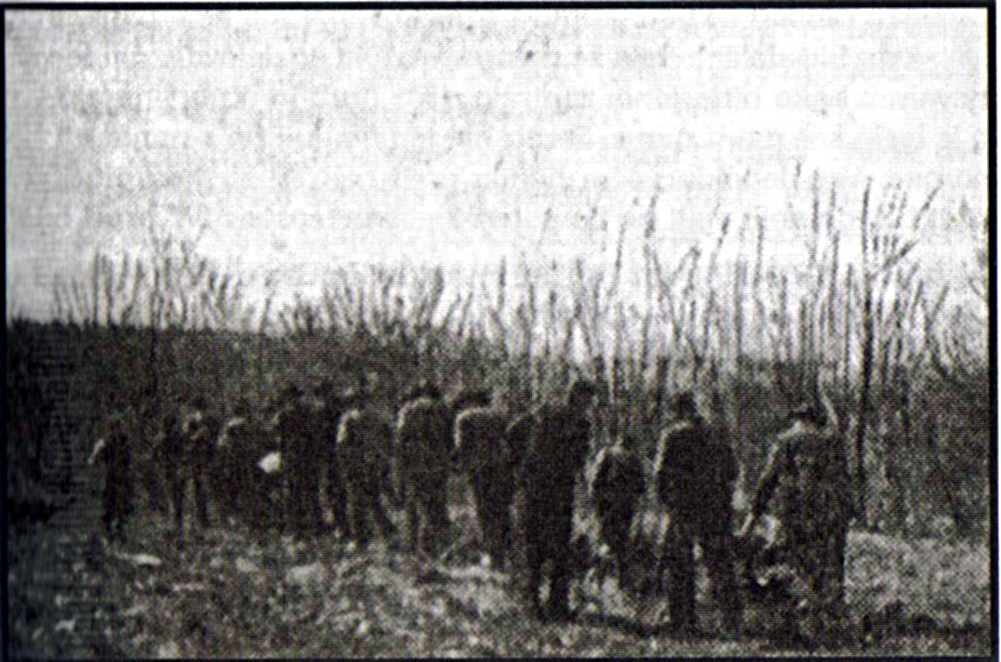 Foto von Menschen, die als Zugtiere auf dem Feld eingesetzt wurden