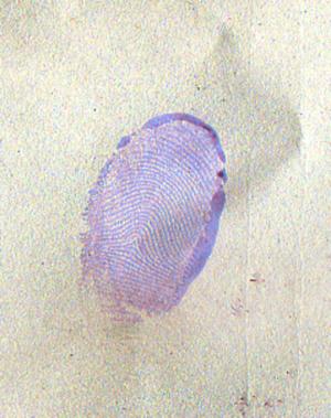 Fingerabdruck als Erinnerungsspur Fingerabdruck als Erinnerungsspur