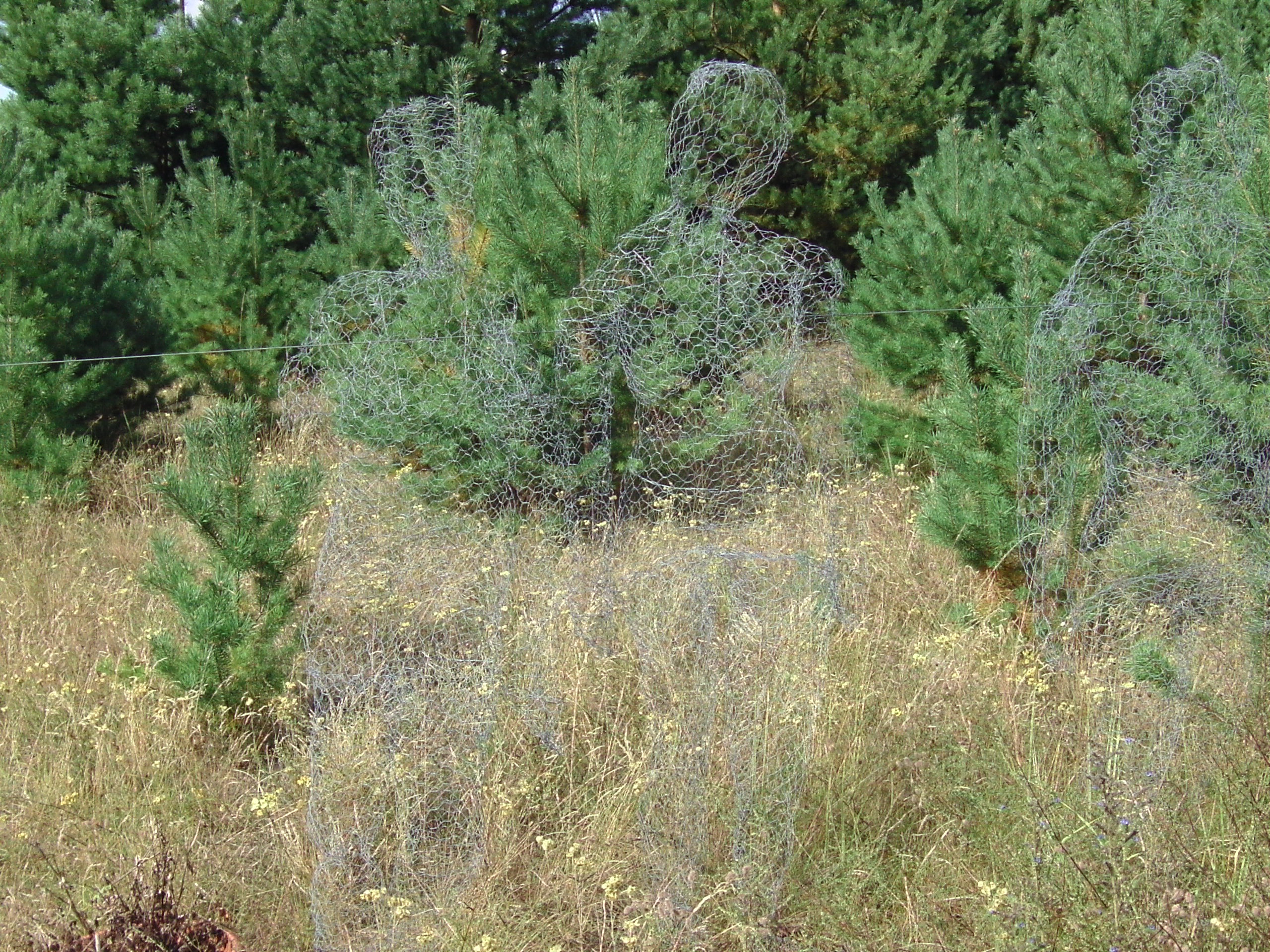 Foto von Maschendrahtfiguren, die zum Gedenken auf dem Gelände des ehemaligen KZ Uckermark aufgestellt wurden.